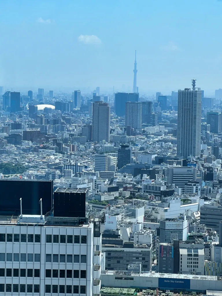 GOBIERNO METROPOLITANO DE TOKYO 2
