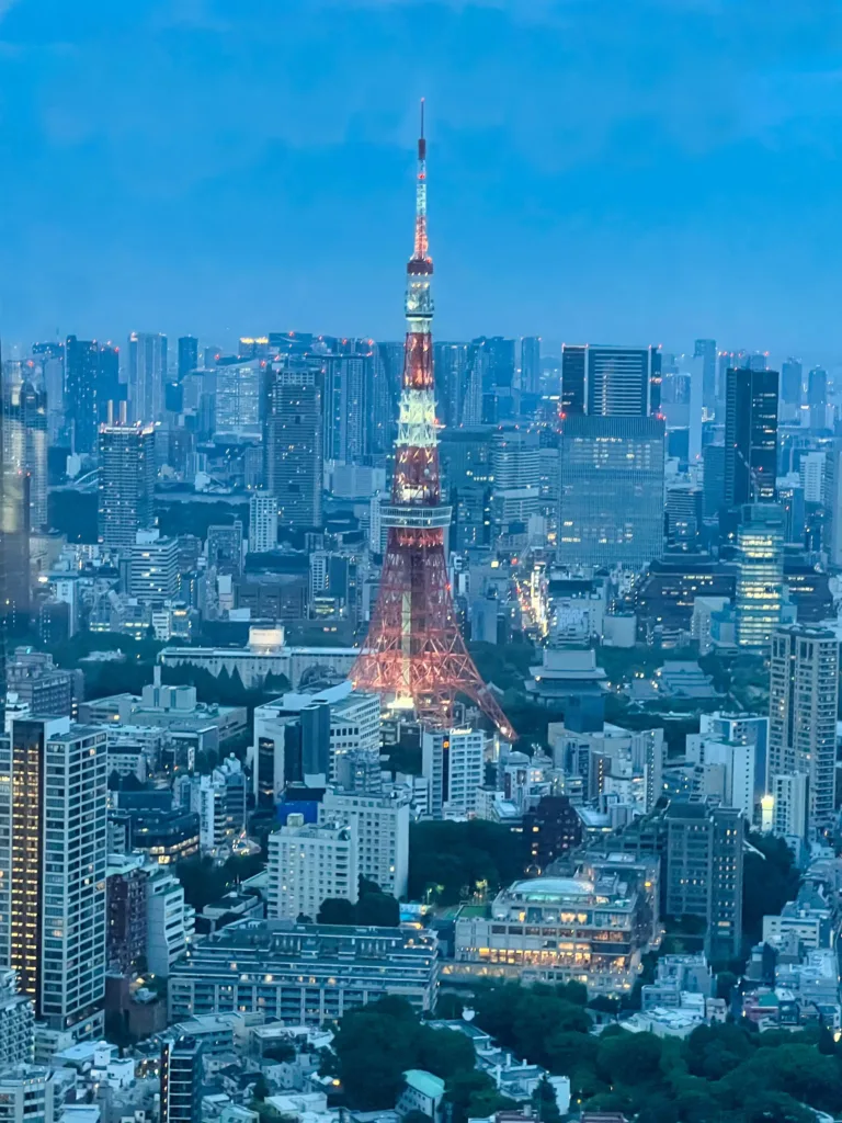 TOKYO CITY VIEW, MIRADOR DE LA TORRE MORI 6