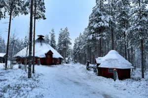 Santa Claus Secret Forest - Joulukka