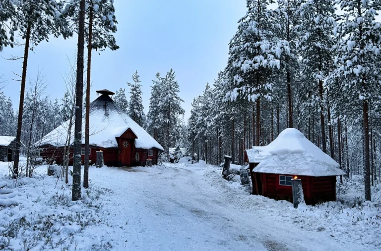Santa Claus Secret Forest - Joulukka